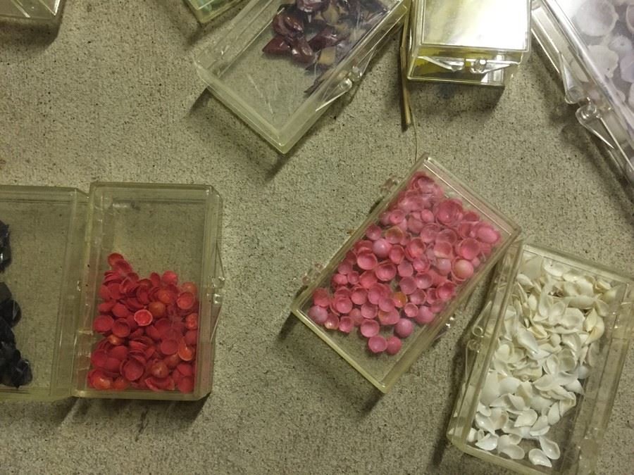 Shell Craft Lot [Photo 3]