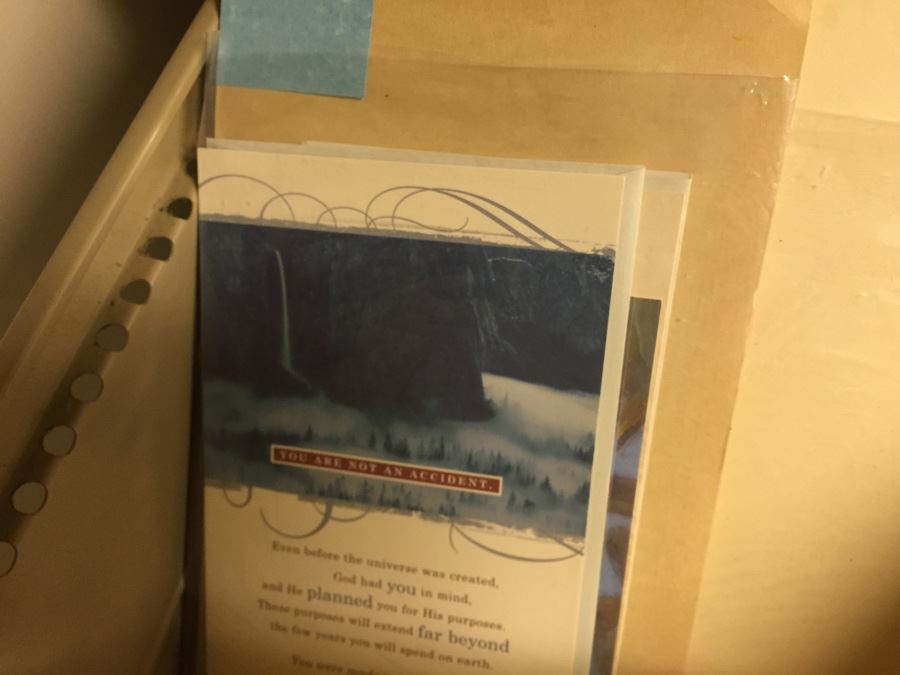 Huge Categorized Greeting Card Lot [Photo 8]