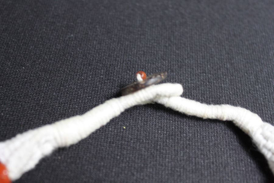 Lion Necklace [Photo 6]