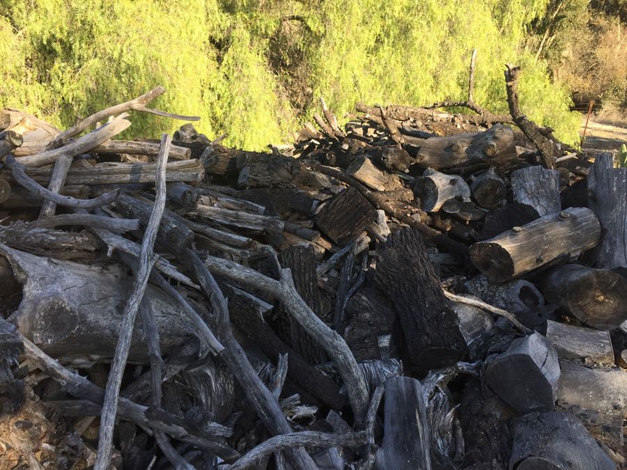 MASSIVE Firewood Lot - Highest Bidder Takes All [Photo 13]