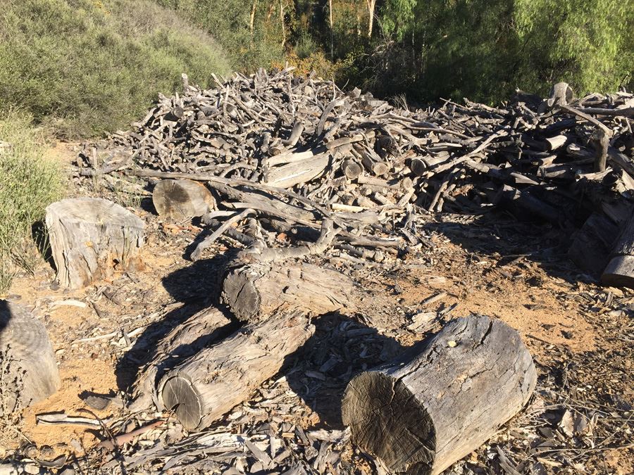 MASSIVE Firewood Lot - Highest Bidder Takes All [Photo 4]