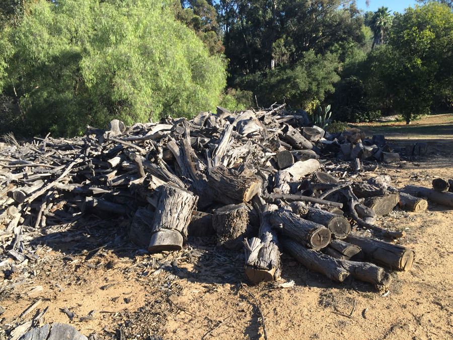 MASSIVE Firewood Lot - Highest Bidder Takes All [Photo 7]