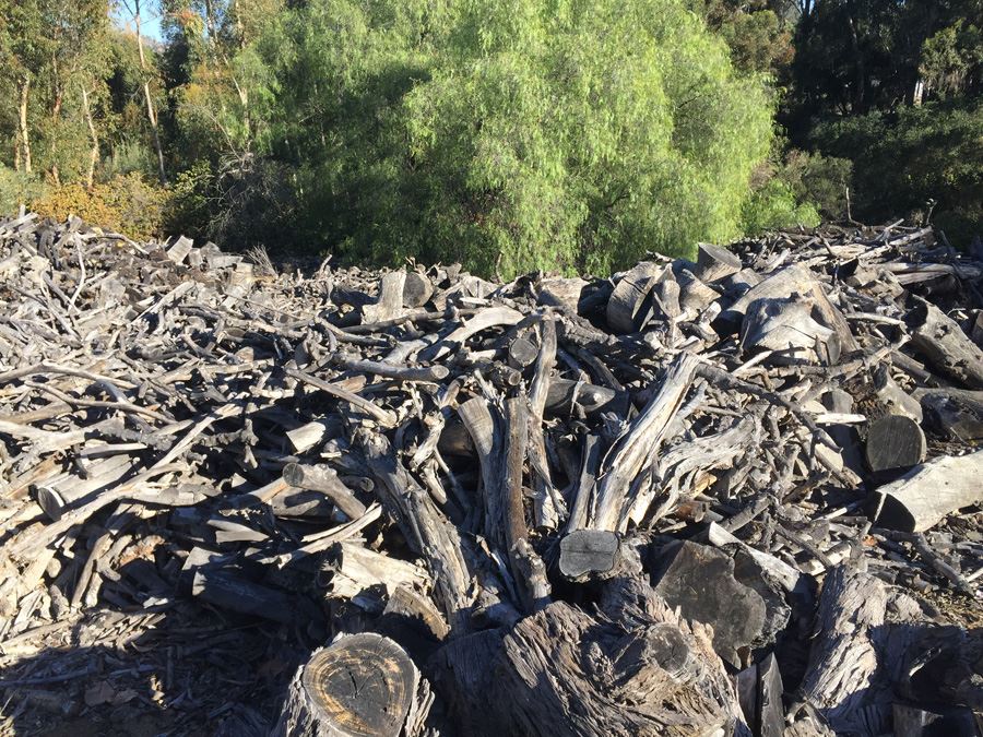 MASSIVE Firewood Lot - Highest Bidder Takes All [Photo 2]