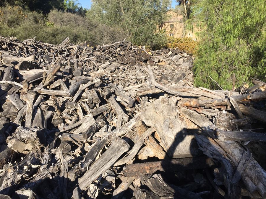 MASSIVE Firewood Lot - Highest Bidder Takes All [Photo 12]