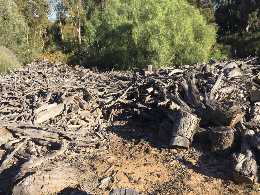 MASSIVE Firewood Lot - Highest Bidder Takes All [Photo 6]