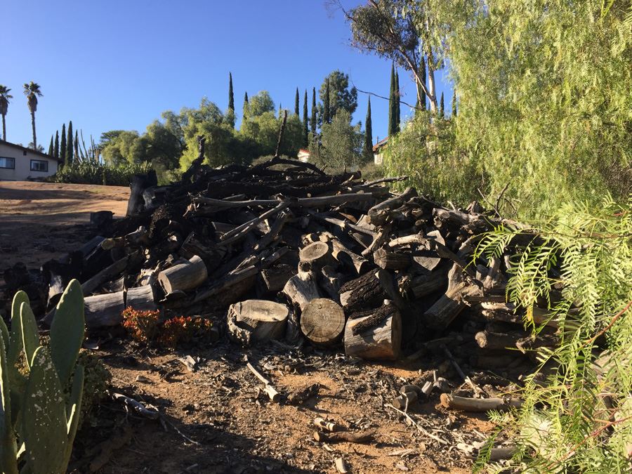 MASSIVE Firewood Lot - Highest Bidder Takes All [Photo 14]