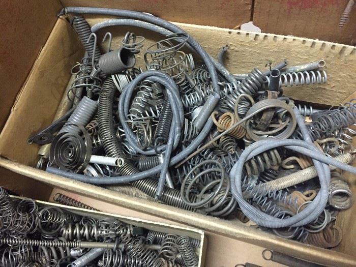 Spring Lot [Photo 2]