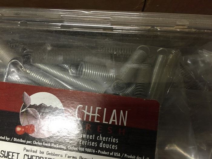 Spring Lot [Photo 5]