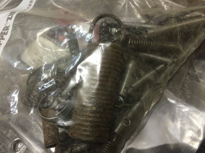 Spring Lot [Photo 8]