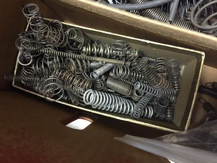 Spring Lot [Photo 3]