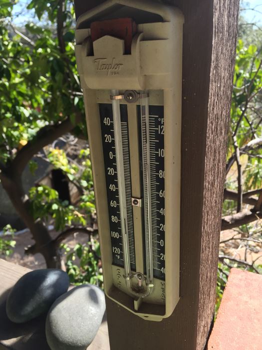 Taylor Thermometer