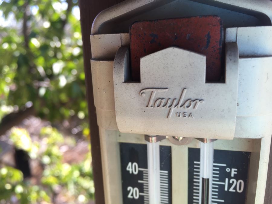 Taylor Thermometer [Photo 2]