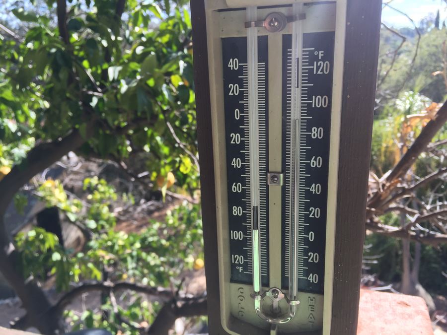 Taylor Thermometer [Photo 3]