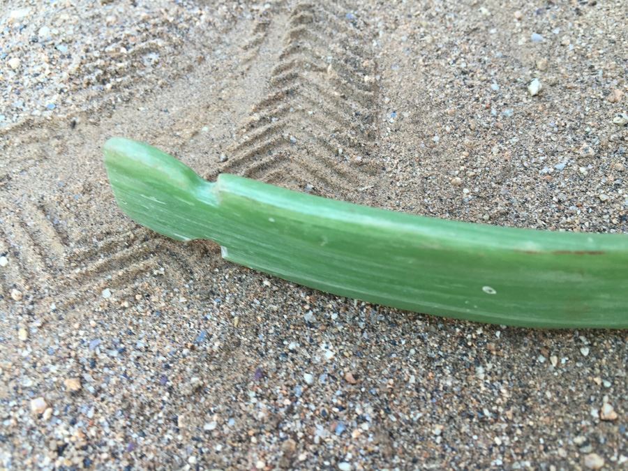 Indian No. 23 20LB Fiberglass Kids Bow [Photo 4]