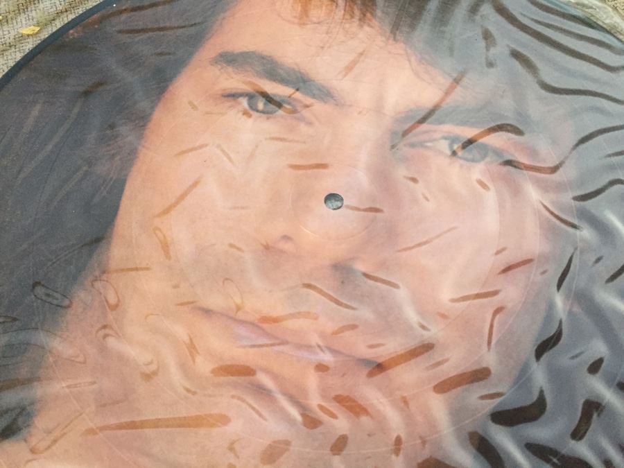 Neil Diamond Picture Disc [Photo 2]
