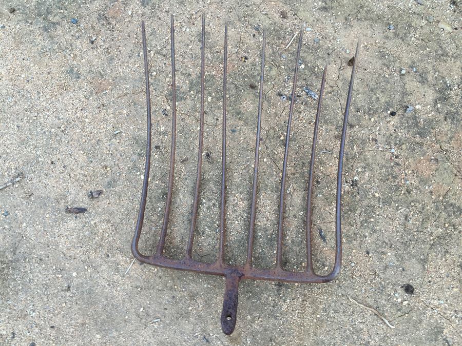 Old Pitchfork [Photo 2]