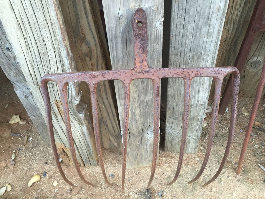 Old Pitchfork [Photo 1]
