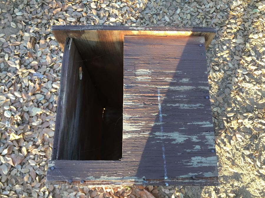 Wooden Owl Box