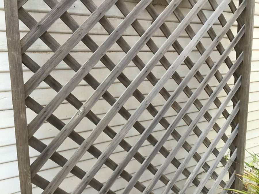 Vintage Trellis [Photo 3]