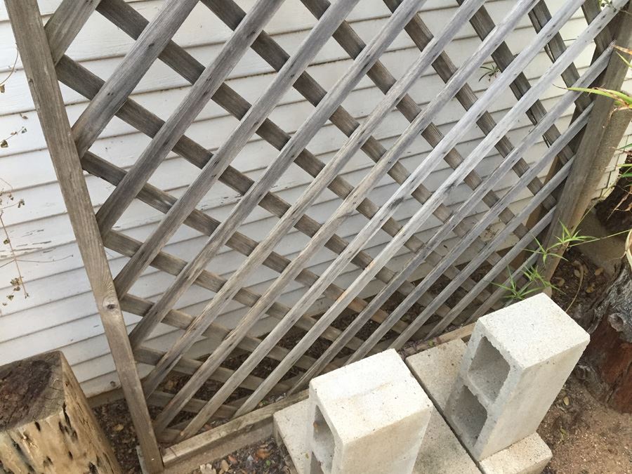 Vintage Trellis [Photo 4]