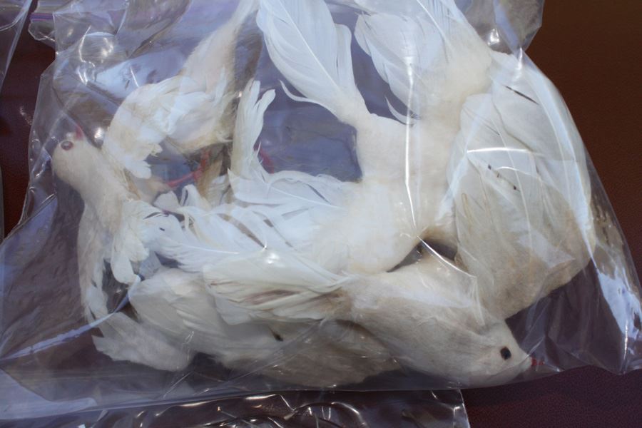 Hand Made Birds Lot With Real Feathers [Photo 3]