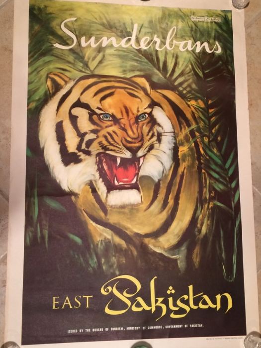 Original East Pakistan Vintage Travel Poster - Tiger in Sunderbans