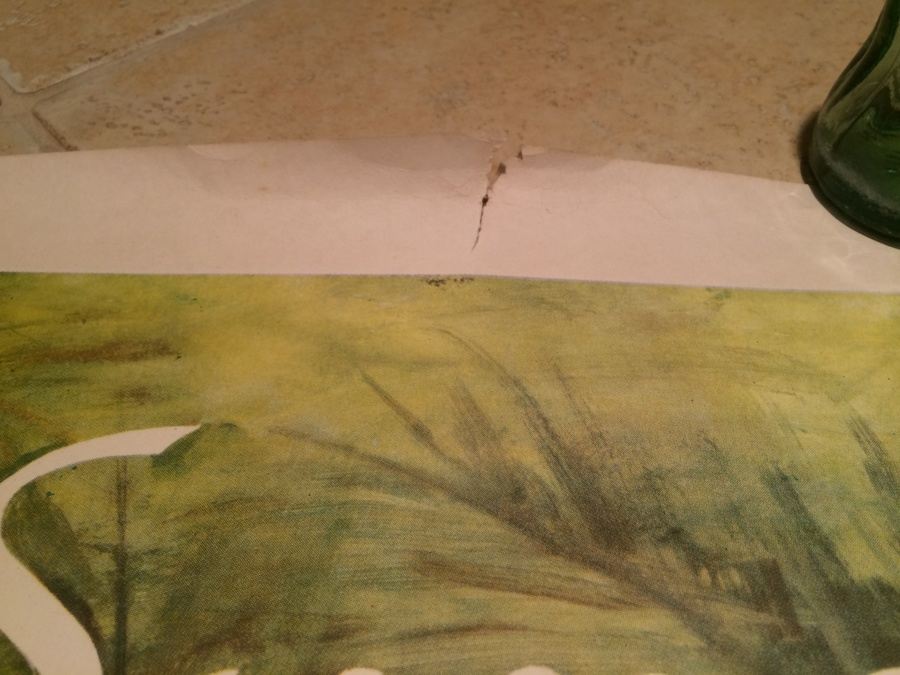 Original East Pakistan Vintage Travel Poster - Tiger in Sunderbans [Photo 8]