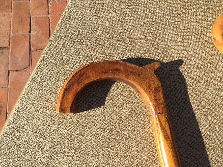 Vintage Canes [Photo 2]