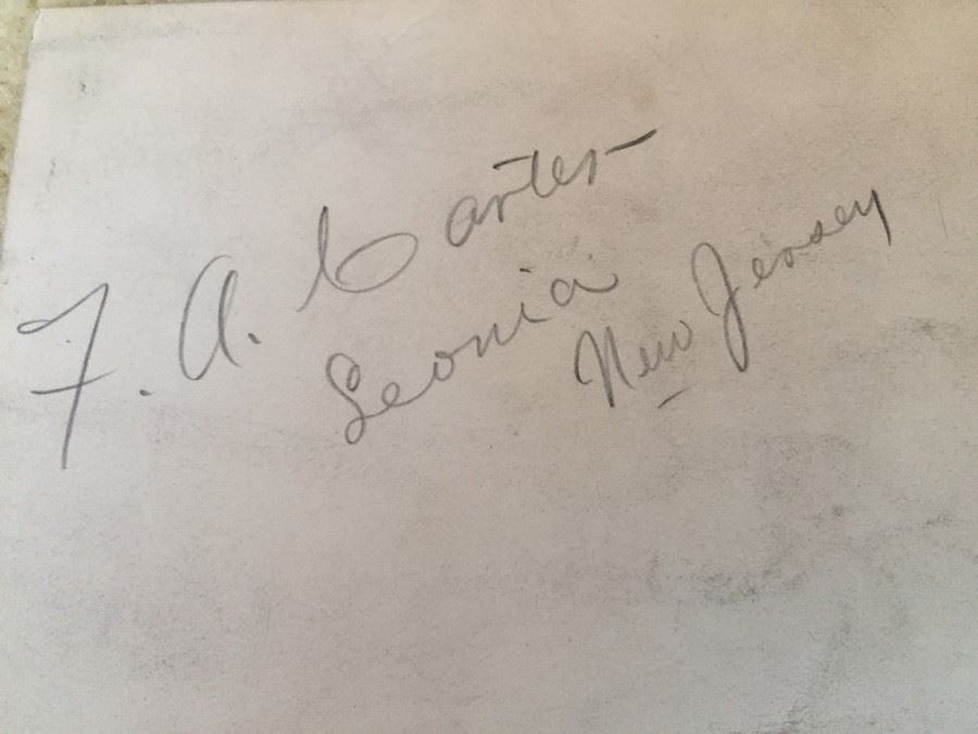 Original F. A. Carter (Fernando Carter) Satirical Map Of Early New York City [Photo 16]