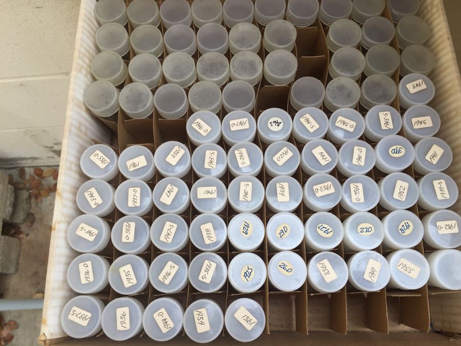Huge Coin Storage Tubes Lot [Photo 3]
