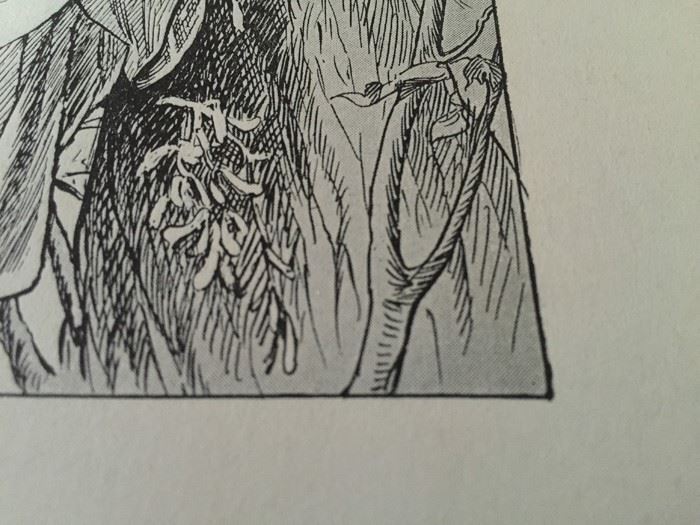 F. A. Carter (Fernando Carter) Artwork [Photo 10]