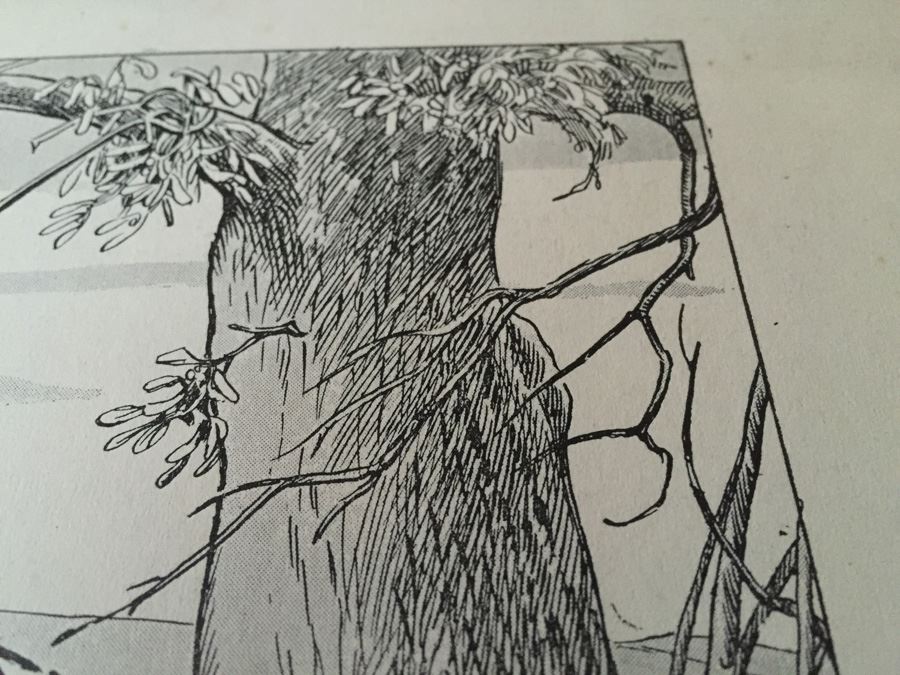 F. A. Carter (Fernando Carter) Artwork [Photo 11]