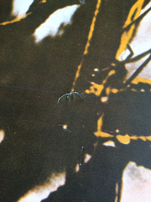 Original Vintage India Travel Poster [Photo 4]