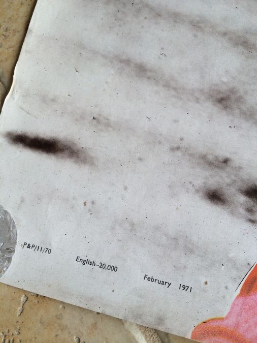 Original Vintage India Travel Poster [Photo 3]