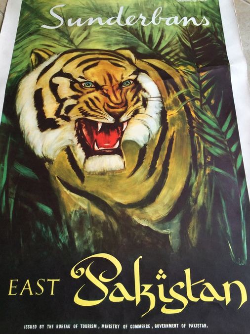 Original East Pakistan Vintage Travel Poster - Tiger in Sunderbans [Photo 4]