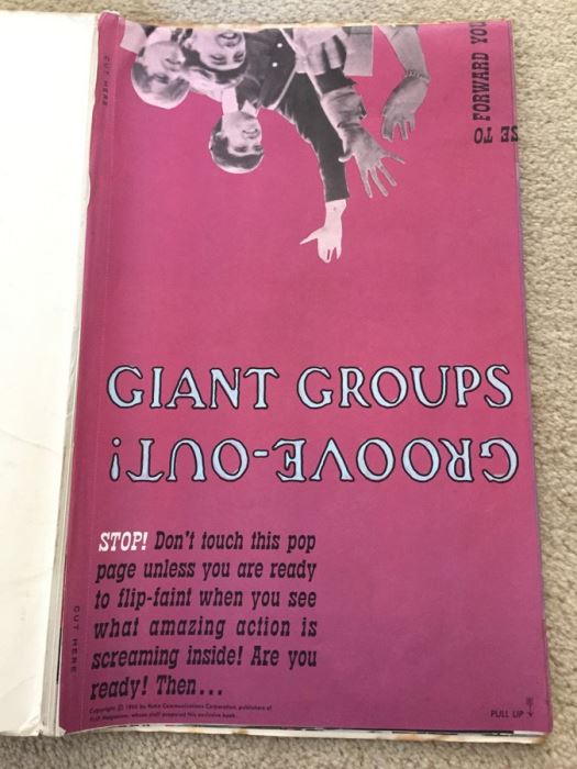 Giant Groups Groove-Out Wall-Sized Pop Pin-Ups Of The Beatles The Rolling Stones [Photo 5]