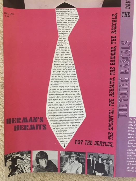 Giant Groups Groove-Out Wall-Sized Pop Pin-Ups Of The Beatles The Rolling Stones [Photo 11]