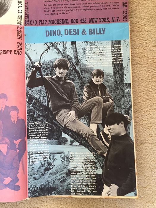 Giant Groups Groove-Out Wall-Sized Pop Pin-Ups Of The Beatles The Rolling Stones [Photo 7]