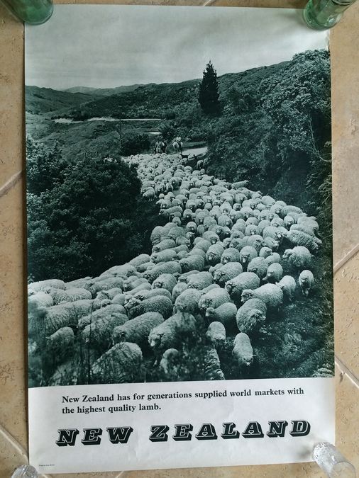 Original Vintage New Zealand Travel Poster [Photo 1]