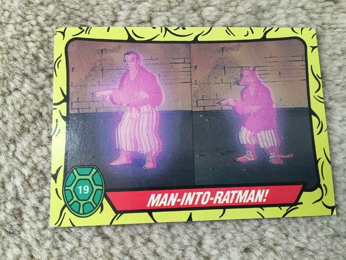 Teenage Mutant Ninja Turtles Mirage Studios Trading Cards [Photo 11]
