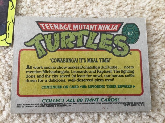 Teenage Mutant Ninja Turtles Mirage Studios Trading Cards [Photo 7]