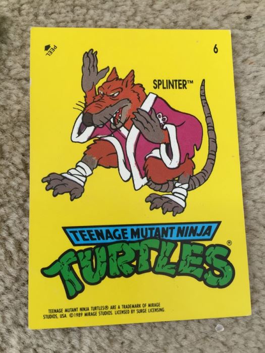 Teenage Mutant Ninja Turtles Mirage Studios Trading Cards [Photo 13]