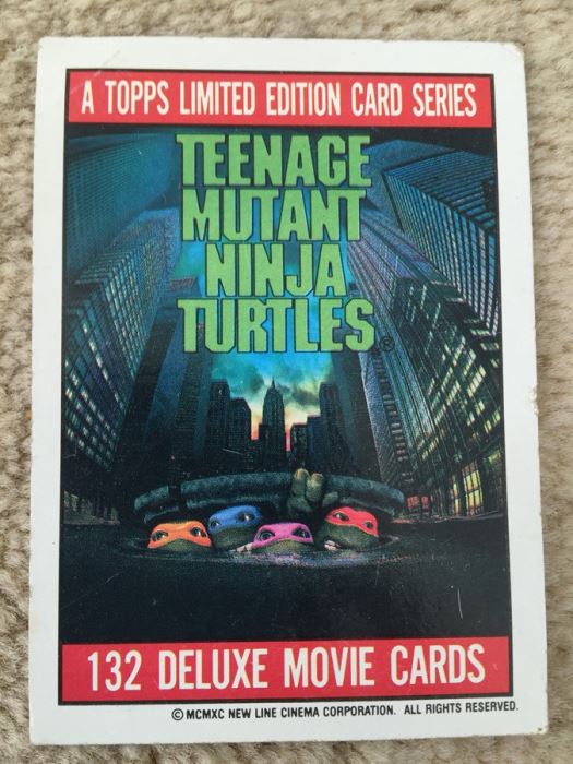 Teenage Mutant Ninja Turtles Mirage Studios Trading Cards [Photo 15]