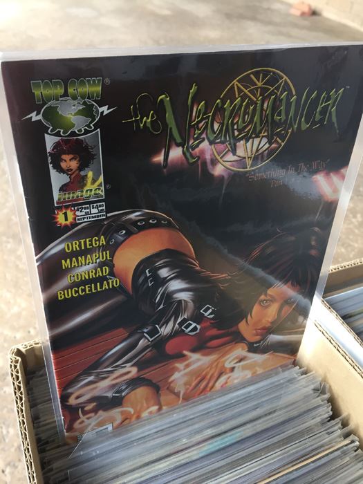 MASSIVE Lot Of Bagged Comic Books From Collector - SIX FULL LONG BOXES - Read Below [Photo 15]