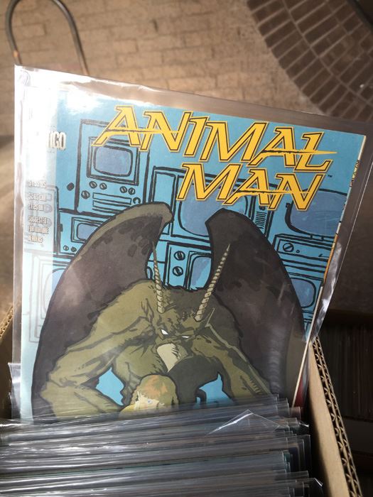 MASSIVE Lot Of Bagged Comic Books From Collector - SIX FULL LONG BOXES - Read Below [Photo 26]