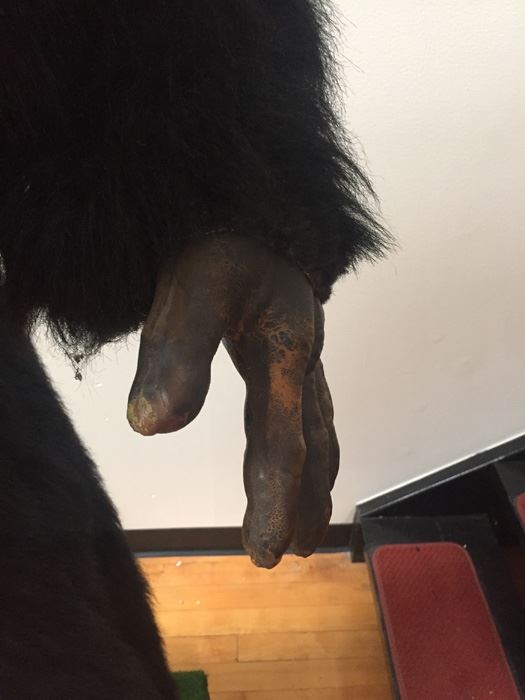 Animated Advertising Mechanical Robotics Automaton Gorilla [Photo 5]