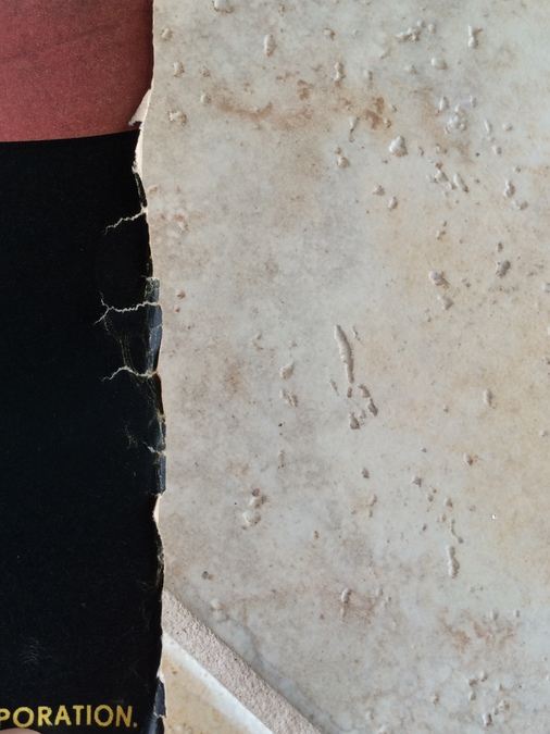 Original Vintage South Africa Travel Poster [Photo 8]