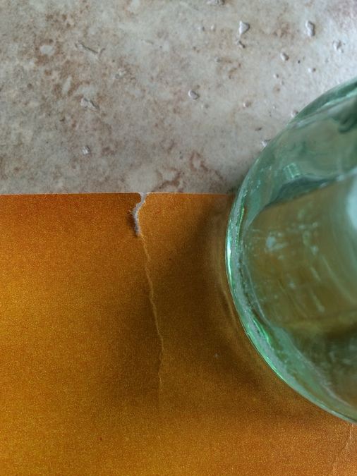 Original Vintage South Africa Travel Poster - South African Wildlife [Photo 7]