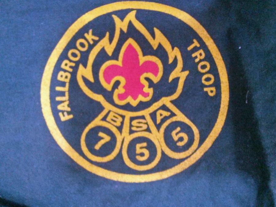 Boy Scout Merit Badge Sash & Bandana [Photo 3]