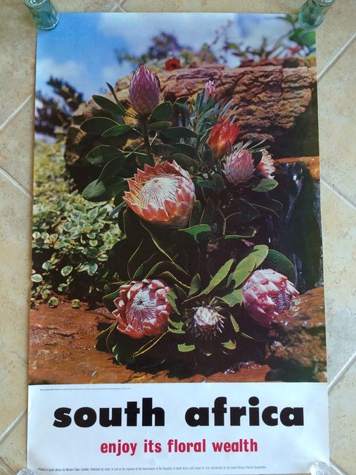 Original Vintage South Africa Travel Poster